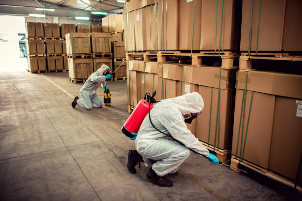 Best Affordable Pest Control Services  in Lumberton, TX