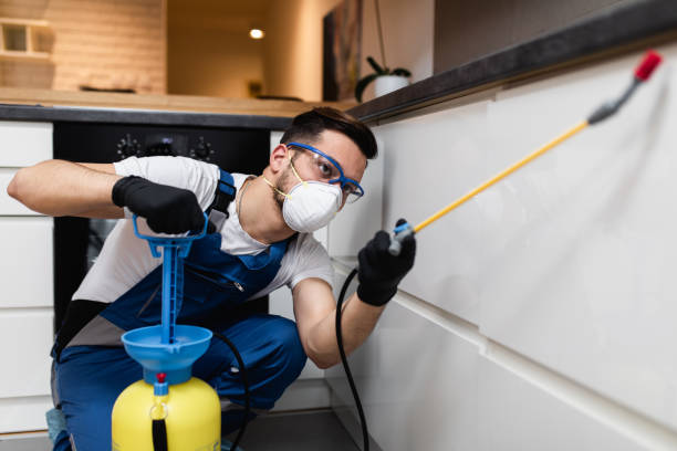 Pest Control for Restaurants in Lumberton, TX