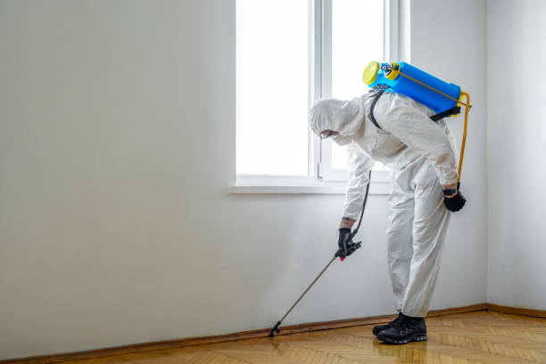 Pest Control Cost in Lumberton, TX