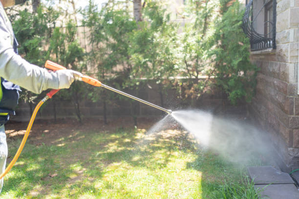 Best Mosquito Control Services  in Lumberton, TX