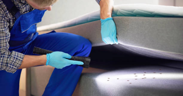 Best Rat Extermination Near Me  in Lumberton, TX
