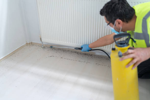Reliable Lumberton, TX Pest Control Solutions